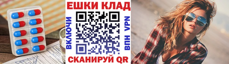 ЭКСТАЗИ Philipp Plein  kraken зеркало  Болхов 