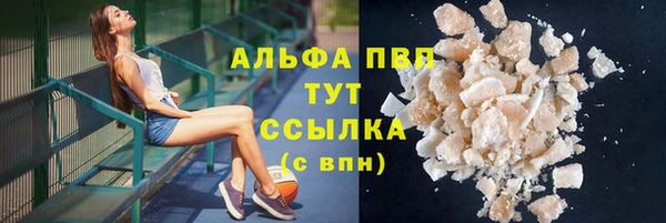 ешки Новодвинск