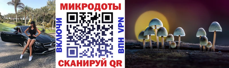 купить закладку  Болхов  Псилоцибиновые грибы Cubensis 